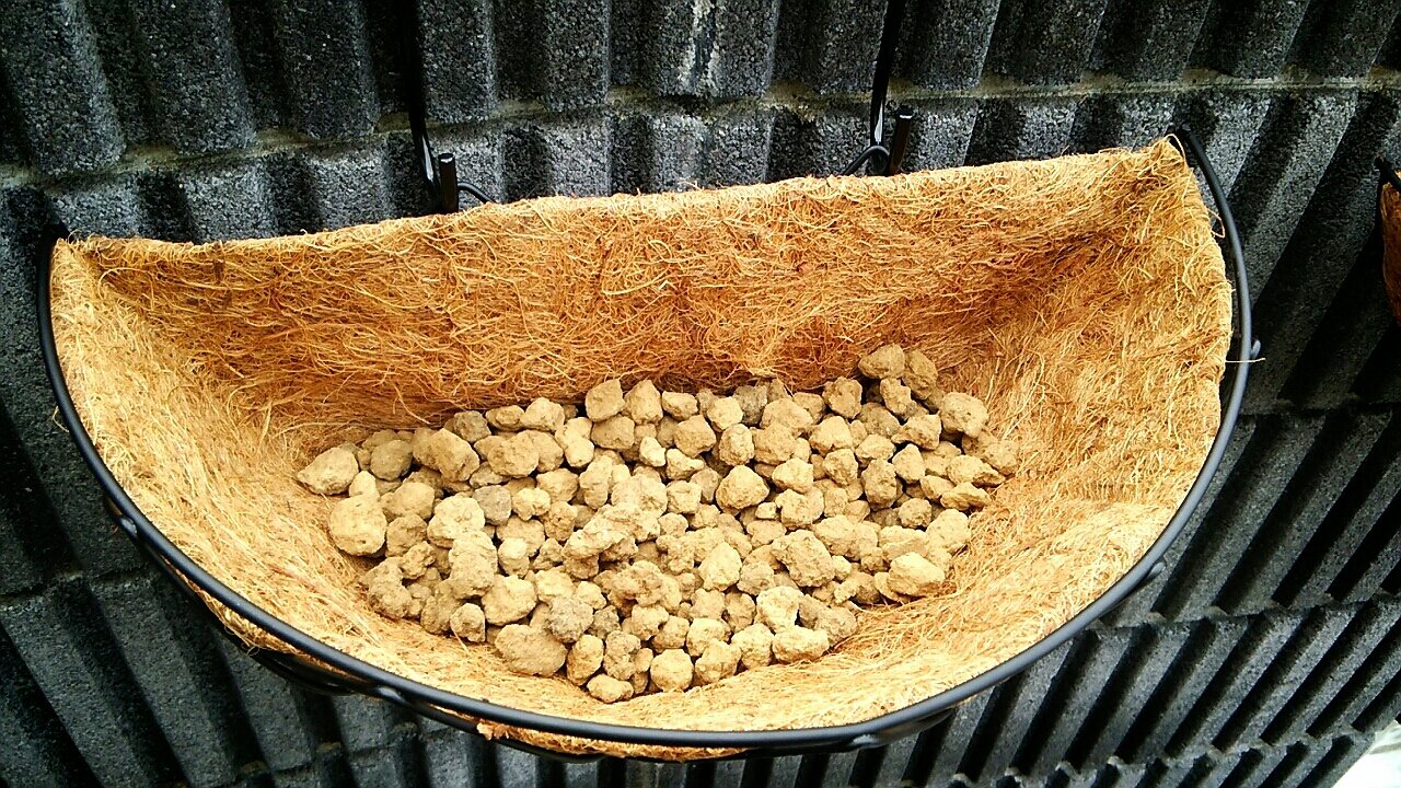 プレミアムビオラ ディージェイでハンギング らさママのガーデン日記