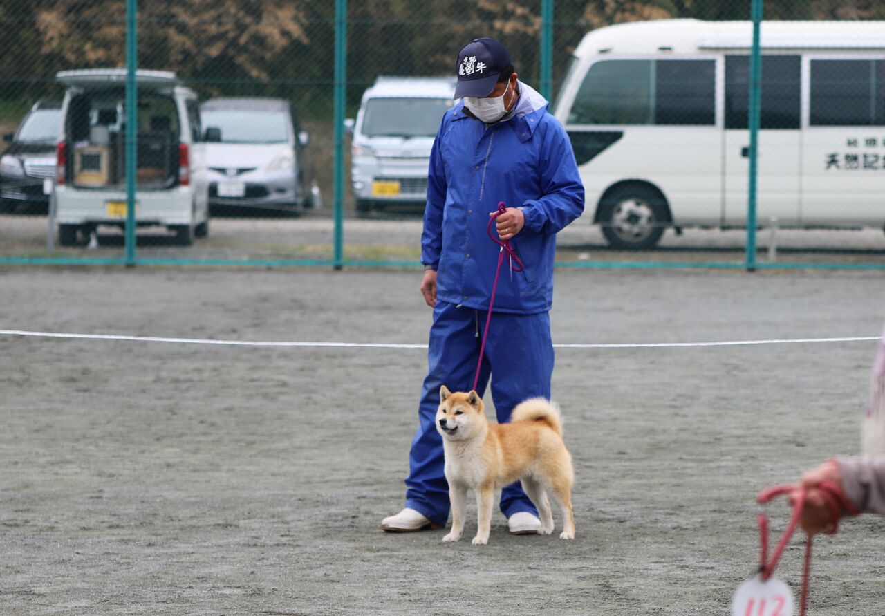 ２０２２春季 ジャスピン 姫柴な毎日