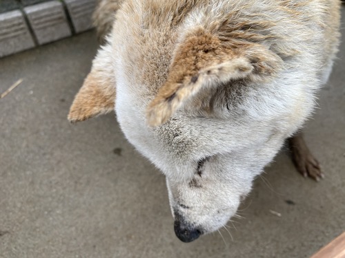 70BF85D0-0359-42F3-857D-D552C50F053E