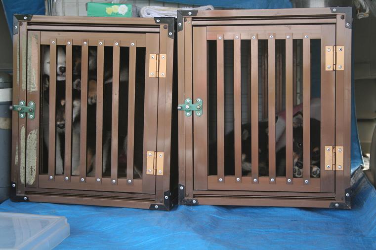 狩猟 アルミ ドッグケージ 猟犬輸送箱