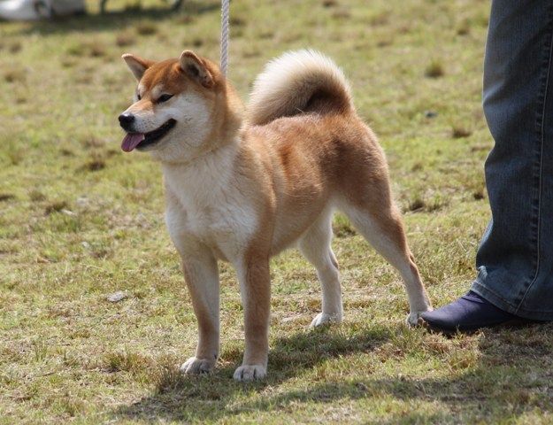 北陸連合展IN石川・ジャス・ピン : 姫柴な毎日