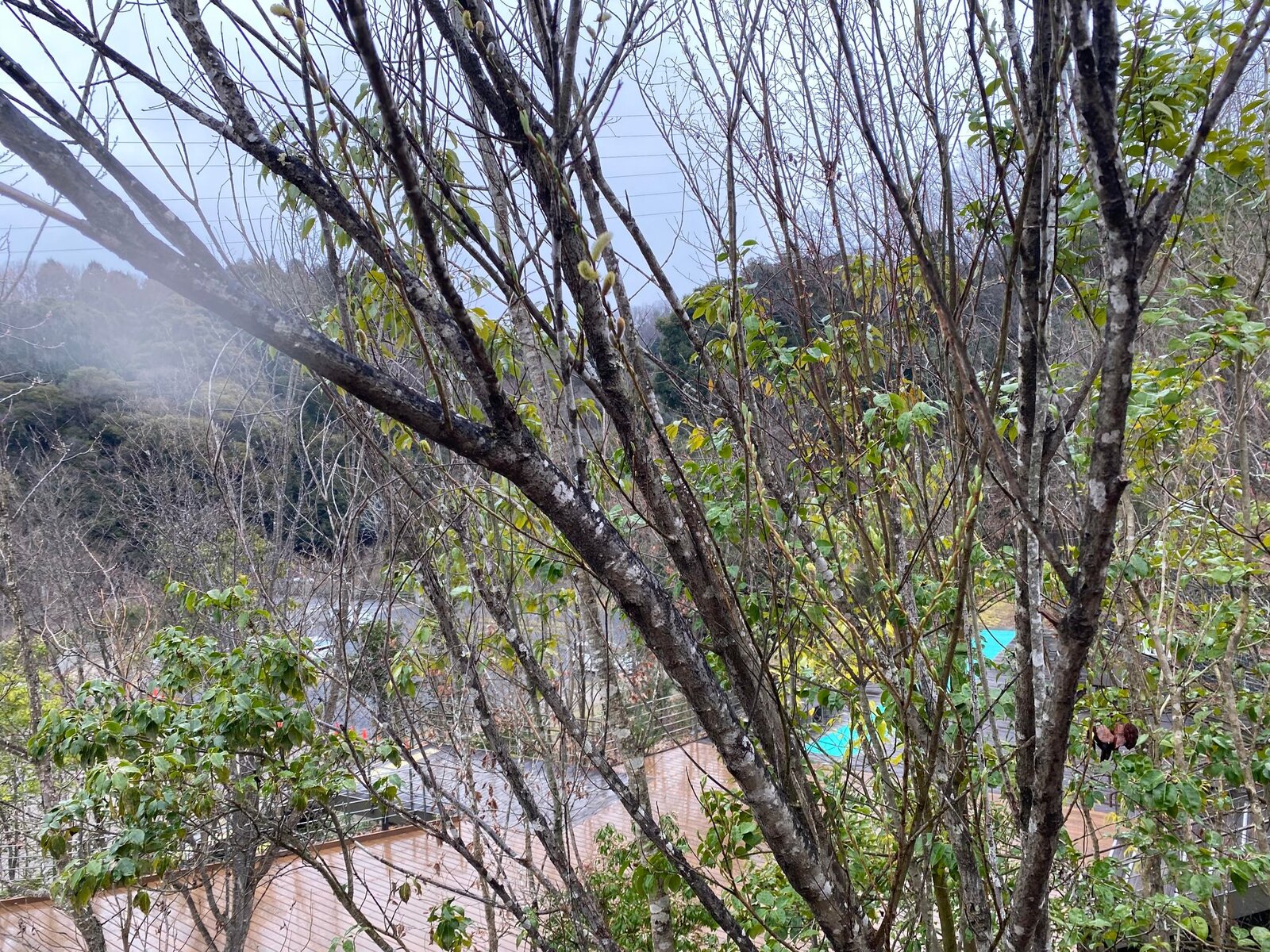アメ・雨・あめ・☔ : 姫柴な毎日