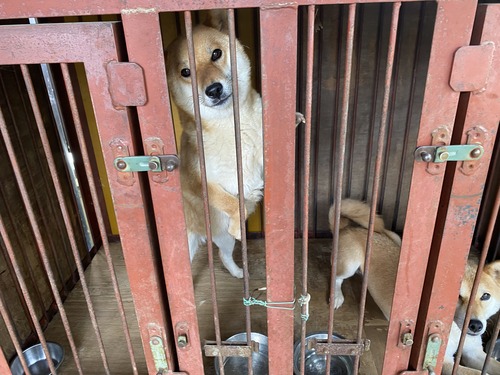 63FF5CE9-788A-4EA1-9B2A-41834BCC742A