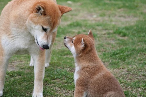 ee375ba9