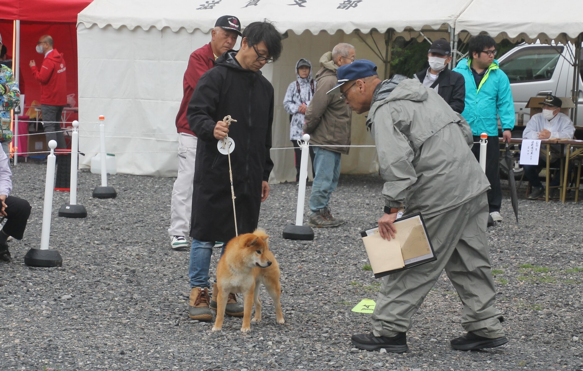 犬の根占(内部春画)