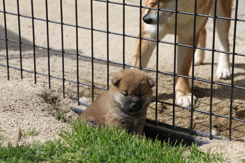 IMG_2113