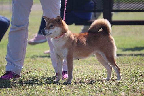 71492831_2475004939397281_5781083898049986560_n