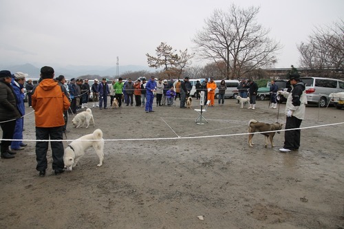 tyuugata
