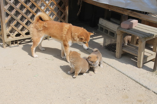 IMG_2306