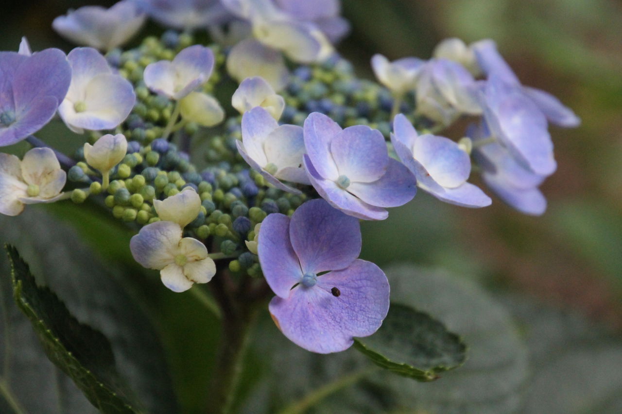 感動をありがとう 姫柴な毎日