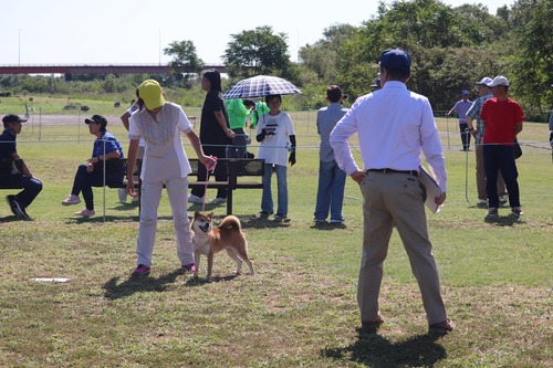 71346674_452798441987286_2305472937651601408_n