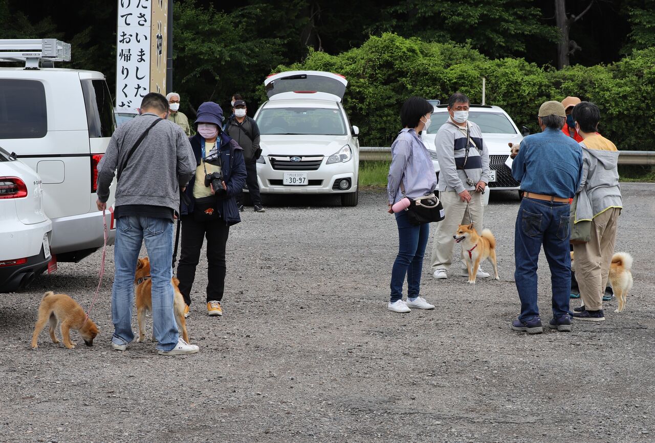 22 春季 近畿連合展ｉｎ滋賀 姫柴な毎日