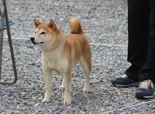 姫柴な毎日 12年09月