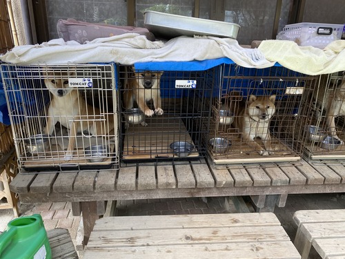 415B0307-8DB6-4B33-929B-158BEB66D788