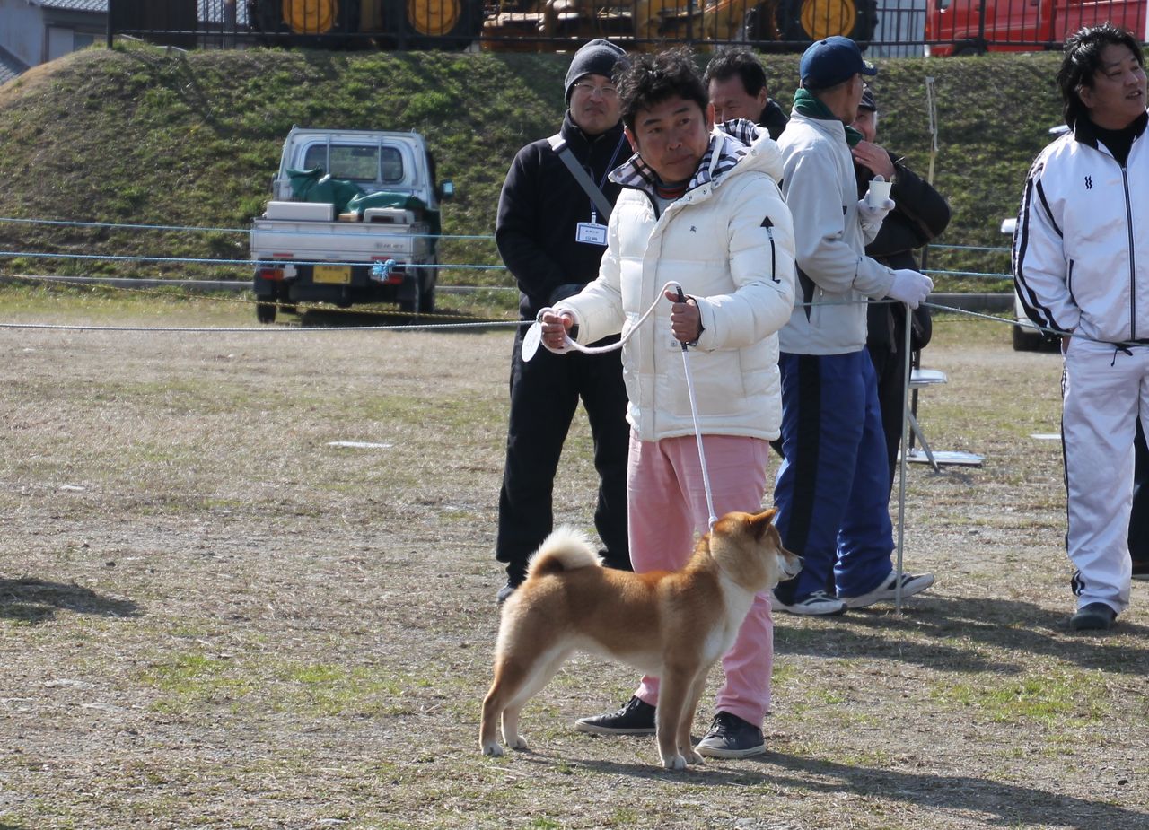 平成30年 春季 岐阜支部展 ジャスピン 姫柴な毎日