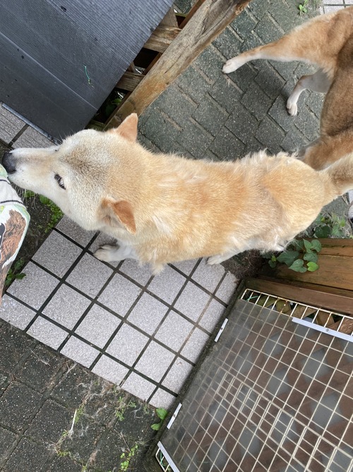 ADE0554B-111E-45B3-99EA-A6608C87C6C4