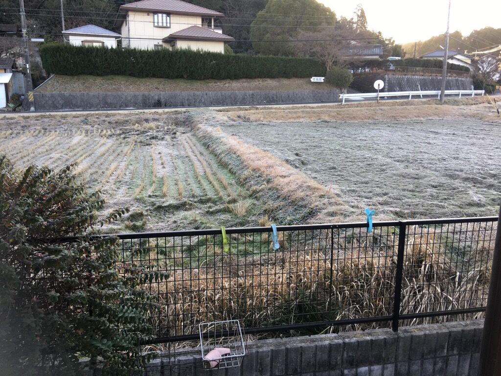 冷たい朝 姫柴な毎日 冷たい朝 姫柴な毎日