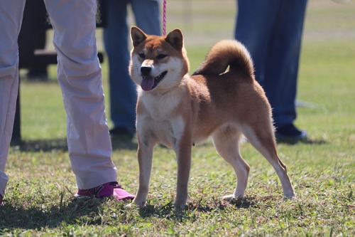 71525794_681375649032698_9177713437826875392_n