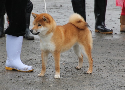 2小太郎