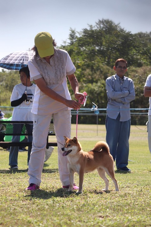 71493792_3319515434732734_8290921060501553152_n