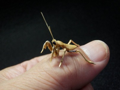 ﾋﾒｶﾏｷﾘ3