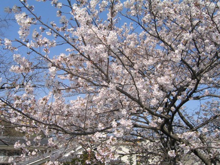 英語表現 １８０ 青空に映える Plug In プラグイン 英語表現