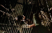 映画 オペラ座の怪人 19年 Something Blue 映画 オペラ座の怪人 19年 Something Blue