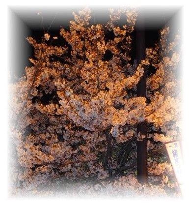 2019ǯ4�����