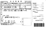 20110113_174530110