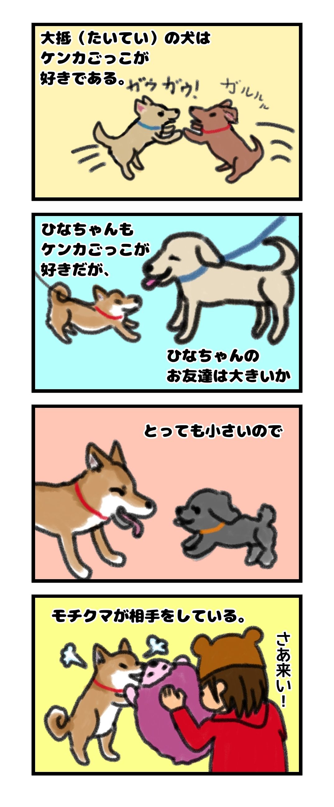 ケンカごっこがしたい柴犬 モフモフとモチモチ