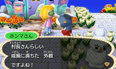 夢見三昧 写真多めかも A Forest