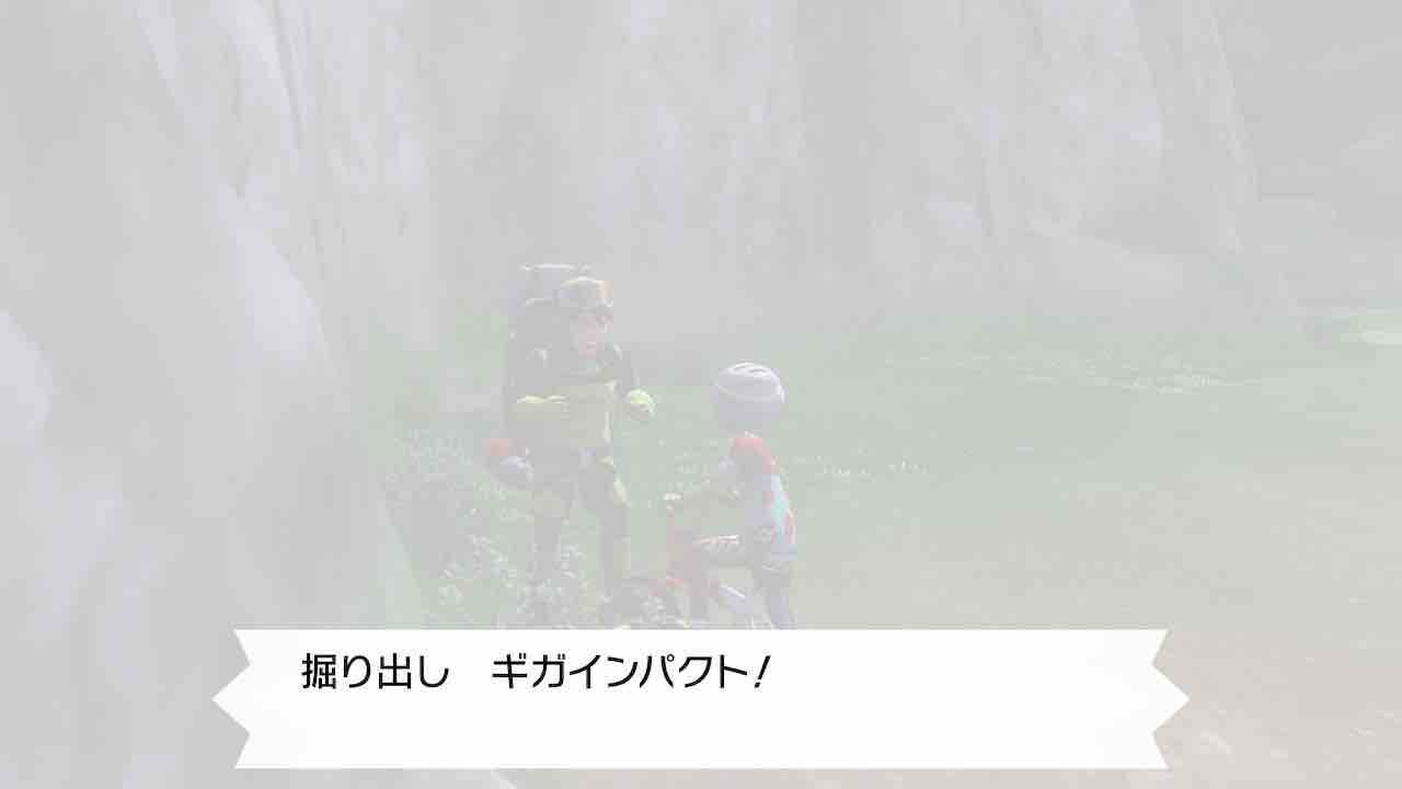 ポケモンプレイ日記 私の大切な世界 ポケモンプレイ日記 私の大切な世界