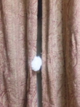 189f82cc.jpg