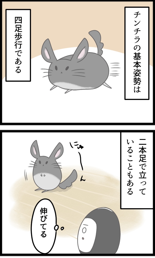 944C4DBA-BD7E-4DD4-9A01-AF7C790B89D4