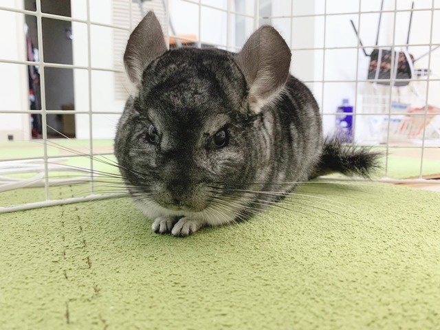 FD8683A5-3A2F-4D4B-BA37-B4BF7C9D5C40