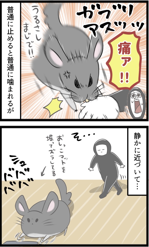 17A3A6F2-B62D-4E45-8C1E-97E92B88743F