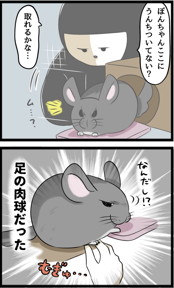 C98AD13E-2610-4F82-AFE1-DA0E65341072