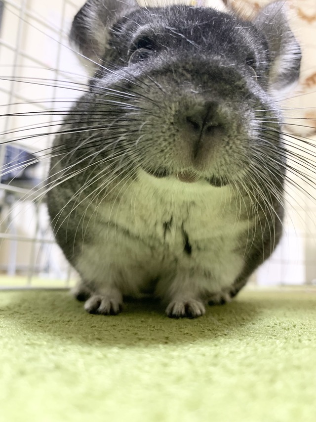 F1971CA0-5CAA-4DFB-8B13-4247BF38667D