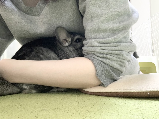 67862EB6-6E83-4CD8-9CBA-FC0BAEEBFFE1