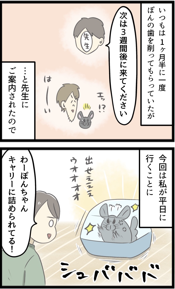 0F25F36C-AF79-483B-9105-52FC66338A2F