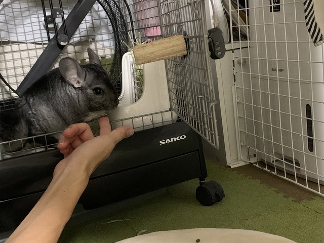 7C6CF12B-BC95-4589-A3C3-79866FD964D4