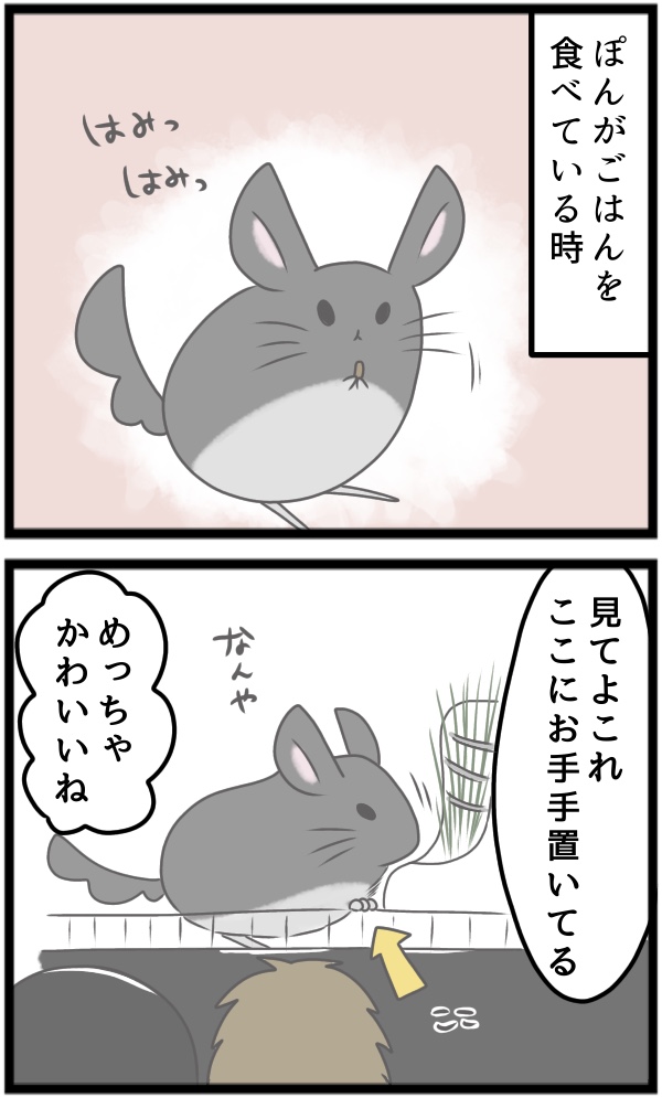 011FE818-8392-480B-884B-AEDAB89E182B