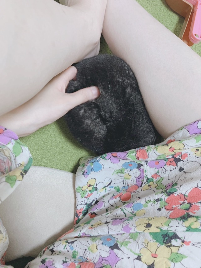 12205BE2-5B7D-4A6A-B902-ECC6D66BC4CA