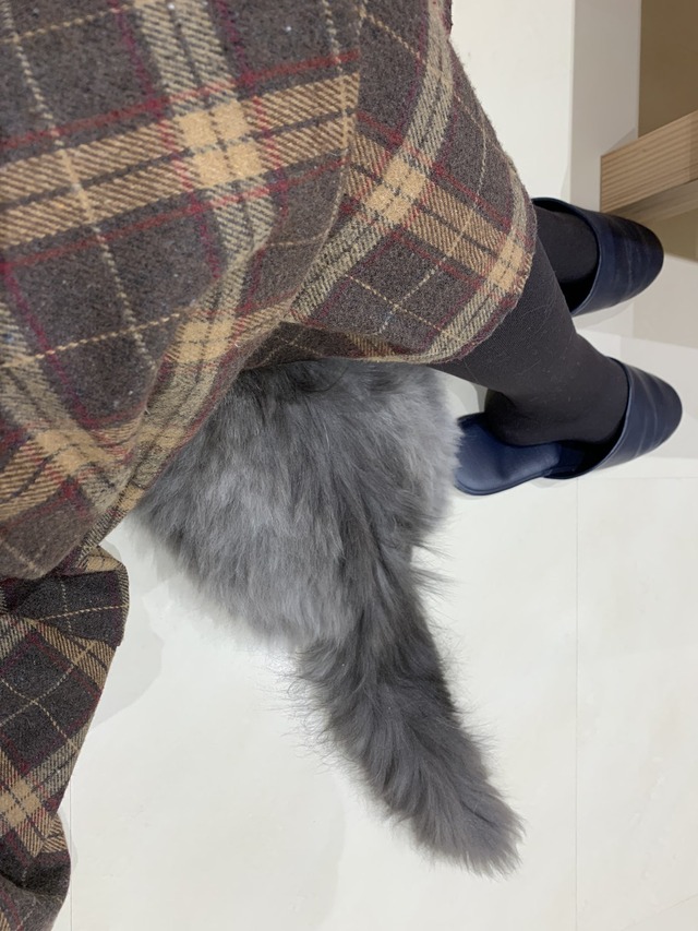 3507BD92-E94C-4D4B-A768-A2C515690452