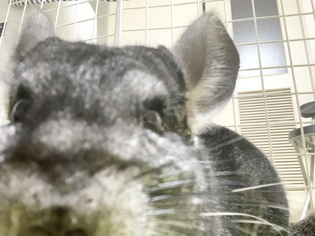 B5D5F6C6-7729-4883-B8F7-11C798F6582D