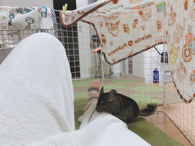 9B0D957E-6A53-4392-A9E5-36FE9DD82C7E