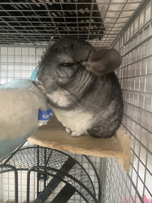 3D60A5CB-F4A0-440C-A700-F4623F2D9C45