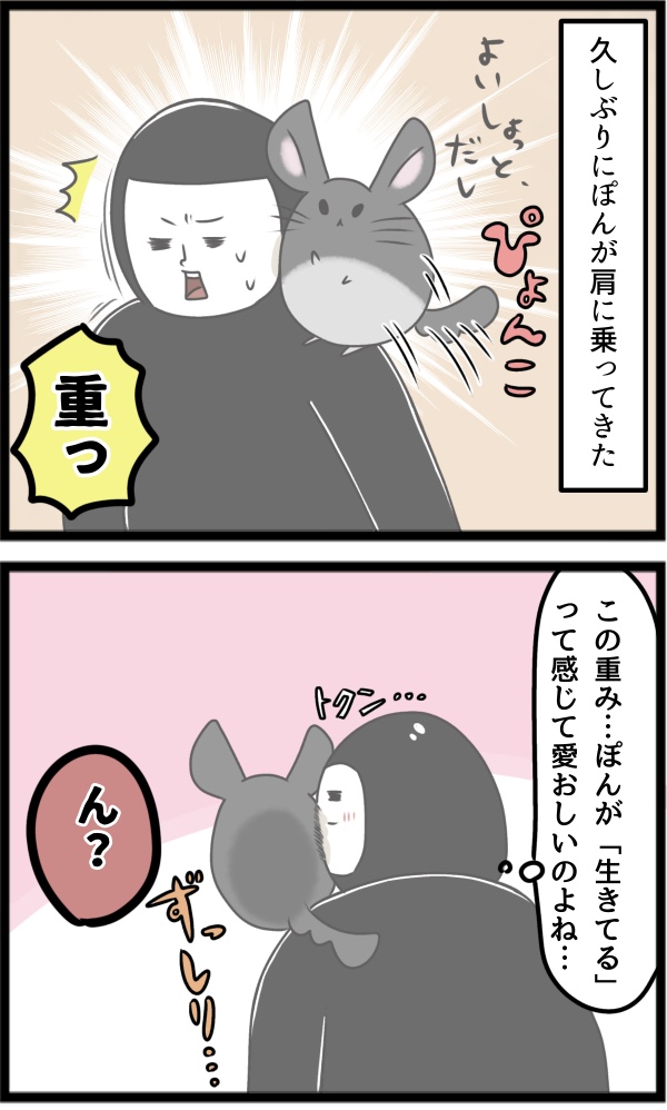 36A01426-212B-47BE-890E-1D8488A47C58