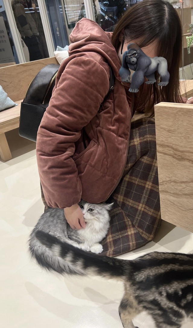 8C1A67EF-B73B-4044-9932-D5C2E75B5D54