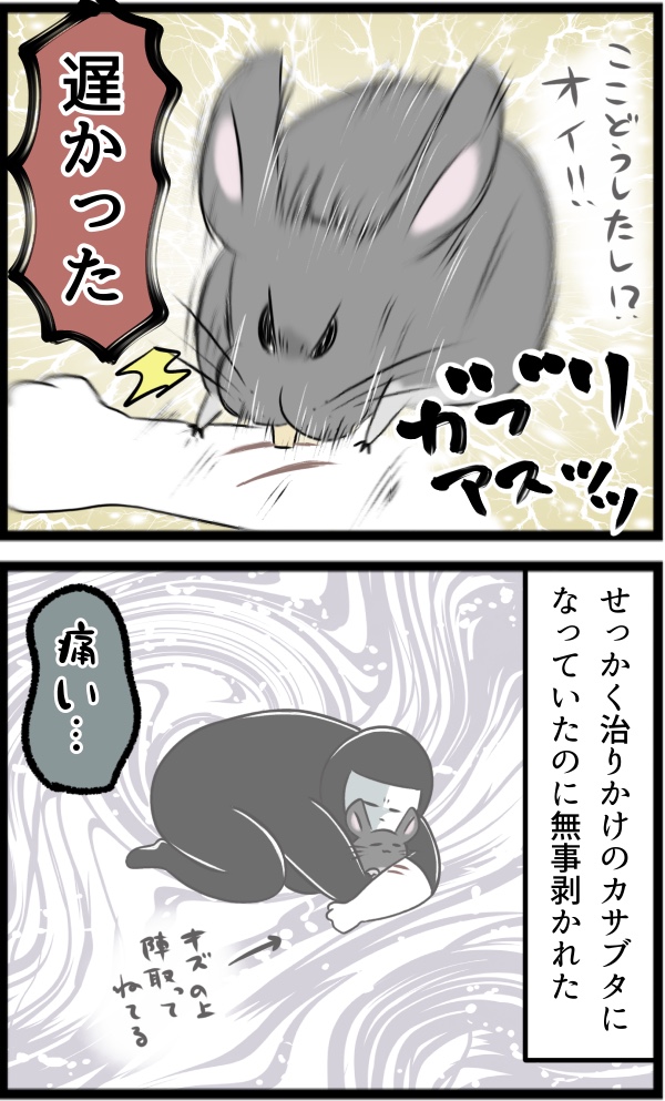 5793F283-7F6E-41C1-9778-8BE7317E32FB